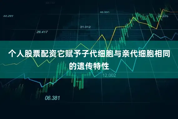 个人股票配资它赋予子代细胞与亲代细胞相同的遗传特性